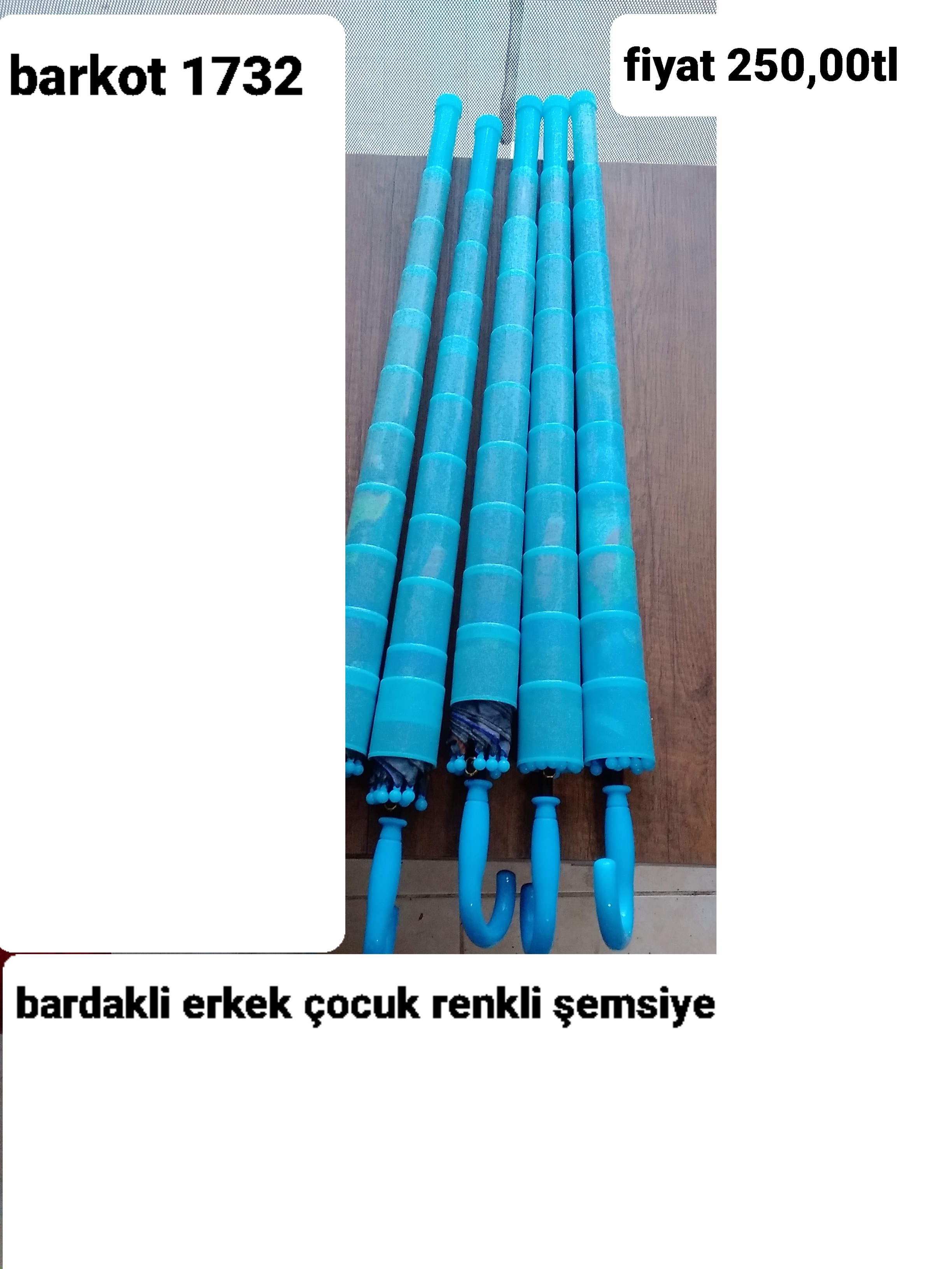 BARDAKLI ERKEK ÇOCUK RENKLİ ŞEMSİYE 1732